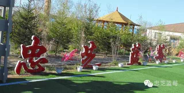 1594019054748713.jpg 1.webp.jpg